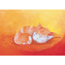 Minikaartje Katje