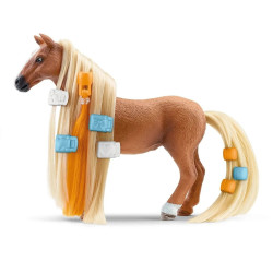 Starterset Kim & Caramelo