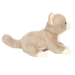 Knuffel Kat 20 cm Knuffel Kat 20 cm