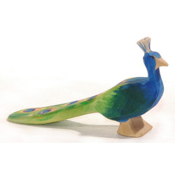 Pauw 11844