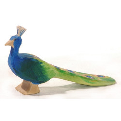 Pauw 11844 Pauw 11844