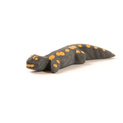 Salamander 1655