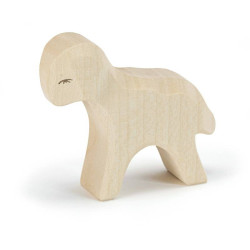 Schaap Lam 11605