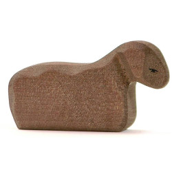 Schaap Lam 11654