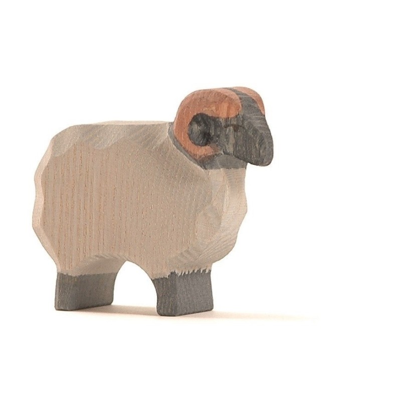 Schaap Ram Heide 11751 Schaap Ram Heide 11751