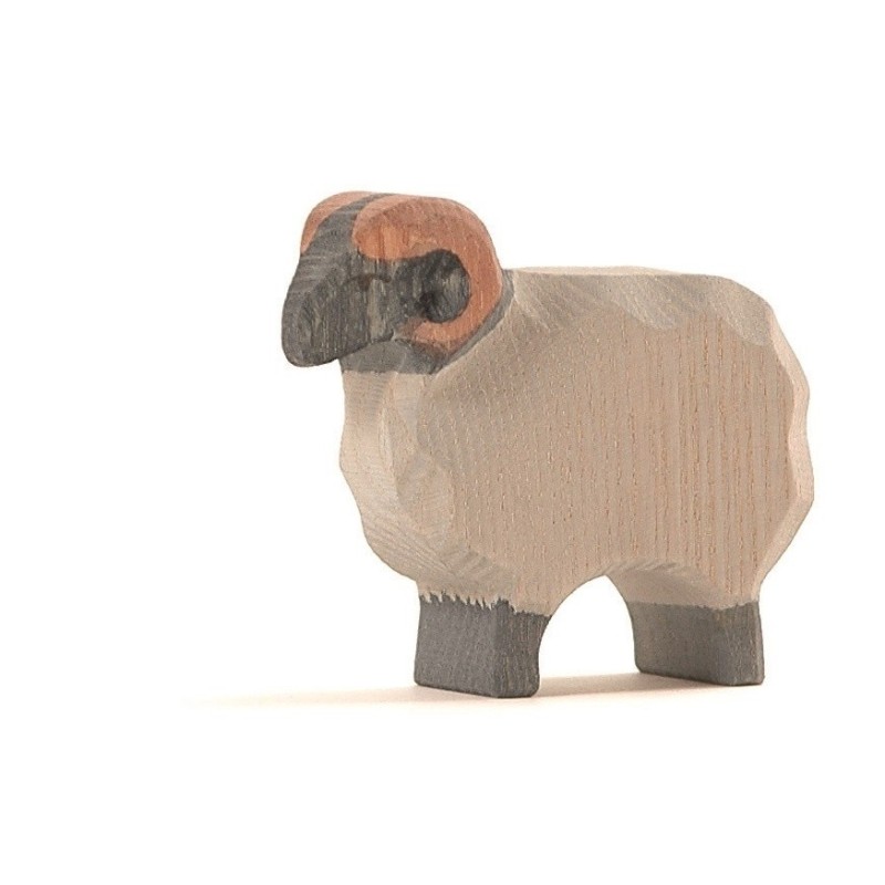 Schaap Ram Heide 11751 Schaap Ram Heide 11751