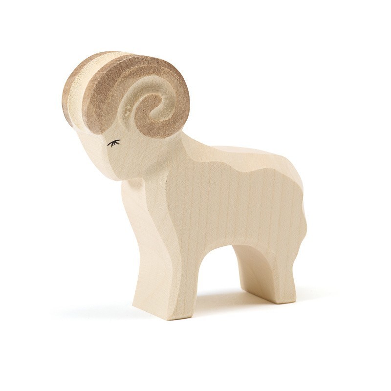 Schaap Ram 11601 Schaap Ram 11601
