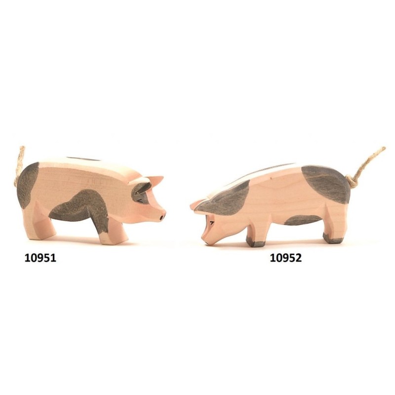 Varken Gevlekt 10952 Varken Gevlekt 10952