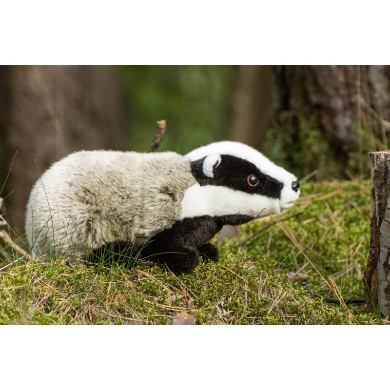Knuffel Das 30cm