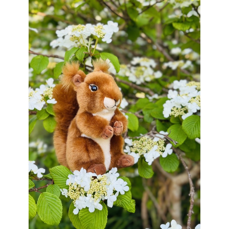 Knuffel Eekhoorn 17cm