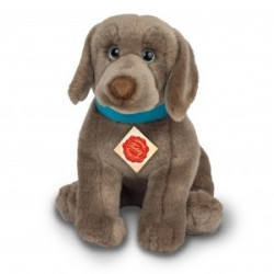 Knuffel Hond Weimaraner Pup
