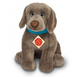Knuffel Hond Weimaraner Pup Knuffel Hond Weimaraner Pup