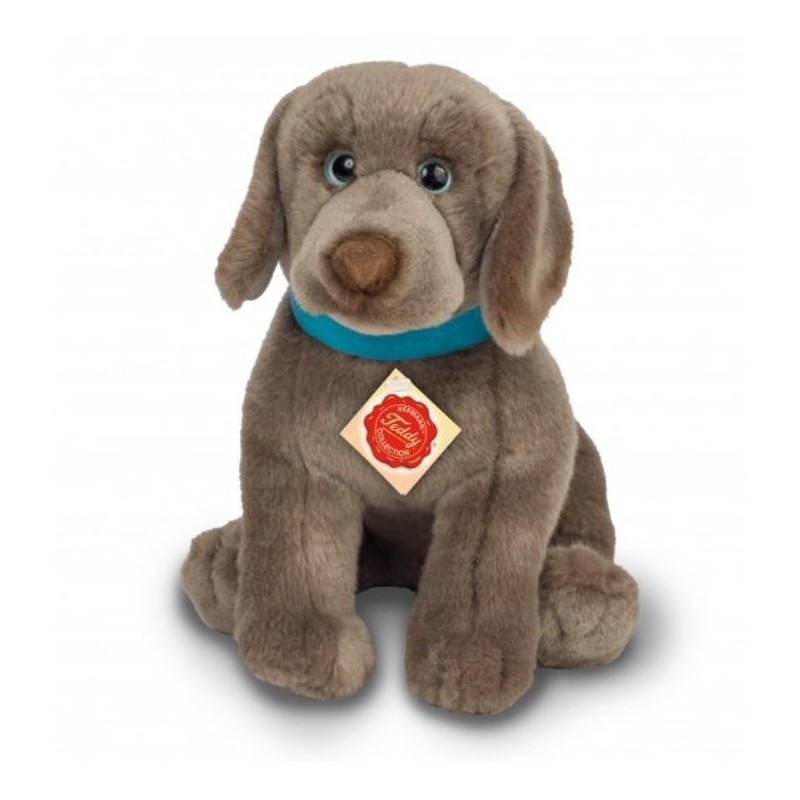 Knuffel Hond Weimaraner Pup Knuffel Hond Weimaraner Pup