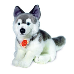 Knuffel Hond Husky