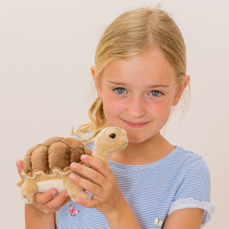 Knuffel Schildpad 20cm Knuffel Schildpad 20cm