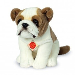 Knuffel Hond Engelse Bulldog Knuffel Hond Engelse Bulldog