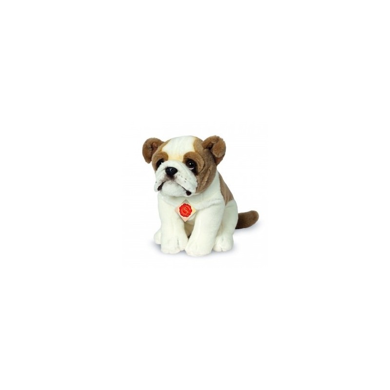 Knuffel Hond Engelse Bulldog Knuffel Hond Engelse Bulldog
