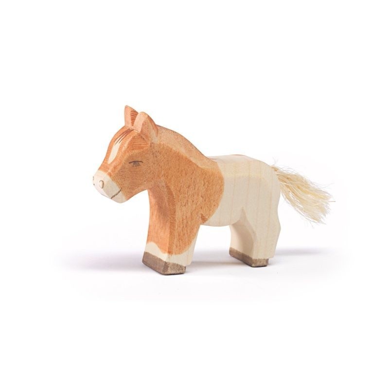Paard Shetland Pony Veulen 11305 Paard Shetland Pony Veulen 11305