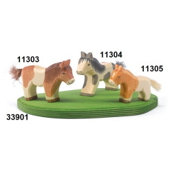 Paard Shetland Pony Veulen 11305 Paard Shetland Pony Veulen 11305
