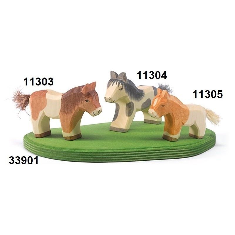 Paard Shetland Pony Veulen 11305 Paard Shetland Pony Veulen 11305