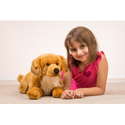 Knuffel Hond Golden Retriever Knuffel Hond Golden Retriever