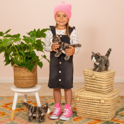 Knuffel Kat Grijs Staand 20cm