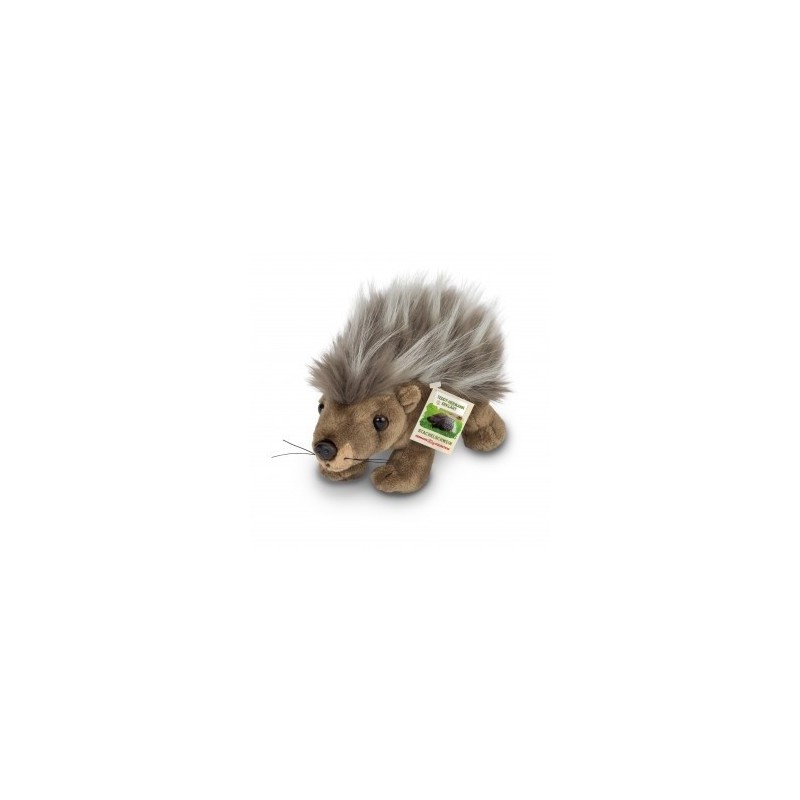 Knuffel Stekelvarken
