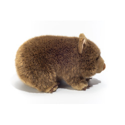 Knuffel Wombat 26cm Knuffel Wombat 26cm