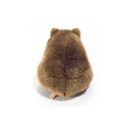 Knuffel Wombat 26cm Knuffel Wombat 26cm