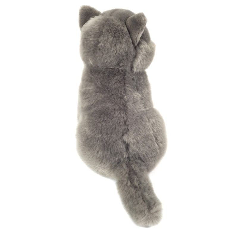 Knuffel Kat Karthuizer Chartreux 20cm Knuffel Kat Karthuizer Chartreux 20cm