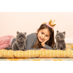 Knuffel Kat Karthuizer Chartreux 20cm Knuffel Kat Karthuizer Chartreux 20cm