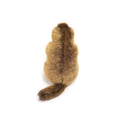 Knuffel Marmot 20cm Knuffel Marmot 20cm