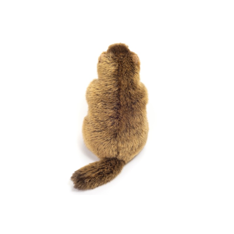 Knuffel Marmot 20cm Knuffel Marmot 20cm