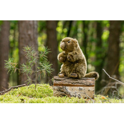 Knuffel Marmot 20cm Knuffel Marmot 20cm