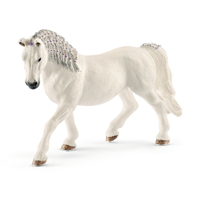 Paard Lipizzaner Merrie 13819 Paard Lipizzaner Merrie 13819