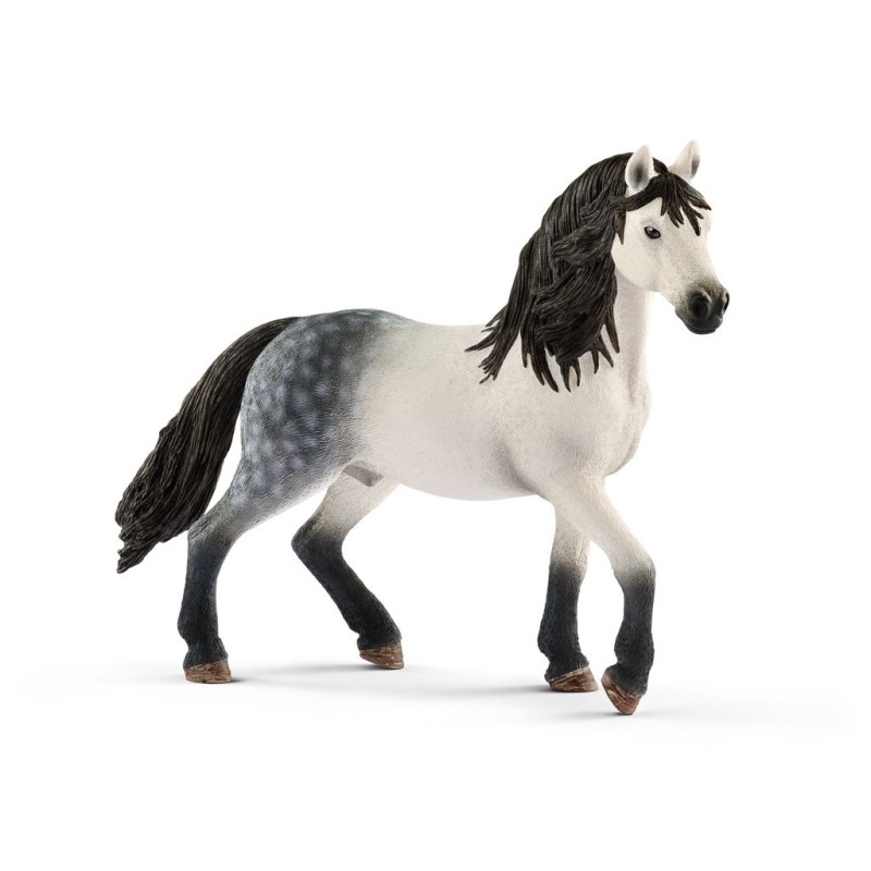 Paard Andalusier Hengst 13821