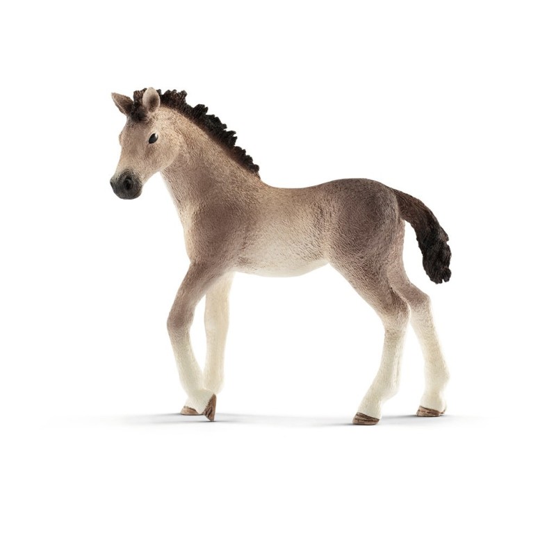 Paard Andalusier Veulen 13822