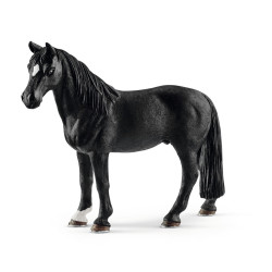 Paard Tennessee Walker Hengst 13832
