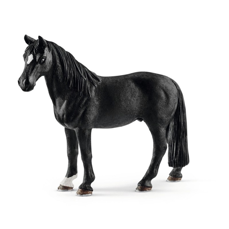 Paard Tennessee Walker Hengst 13832 Paard Tennessee Walker Hengst 13832