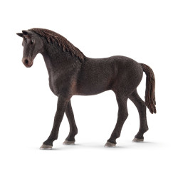 Paard Engelse Volbloed Hengst 13856