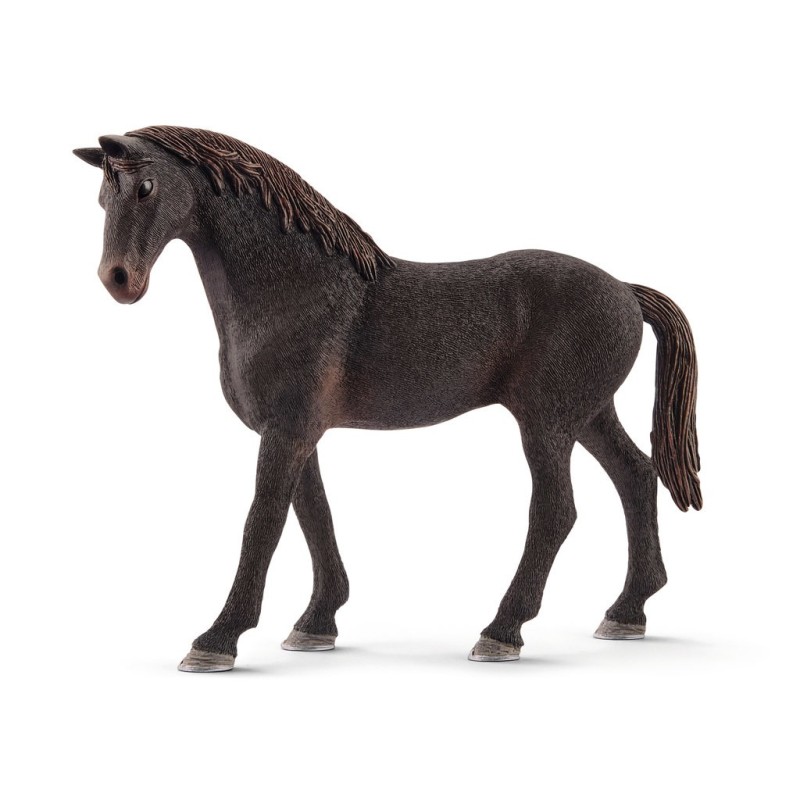 Paard Engelse Volbloed Hengst 13856