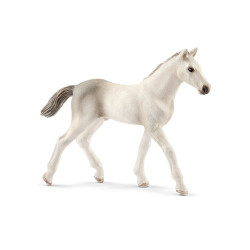 Paard Holstein Veulen 13860