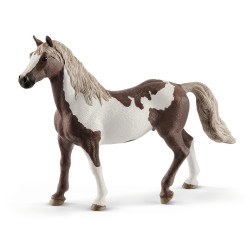Paard Paint Horse Hengst 13885