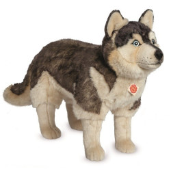 Knuffel Hond Husky Staand Groot