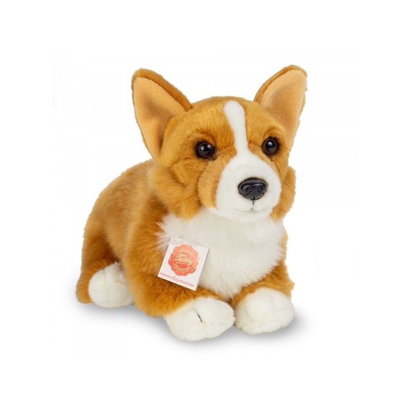 Knuffel Hond Corgi Knuffel Hond Corgi