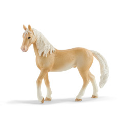 Akhal-Teke Hengst 13911