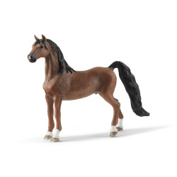 American Saddlebred Ruin 13913