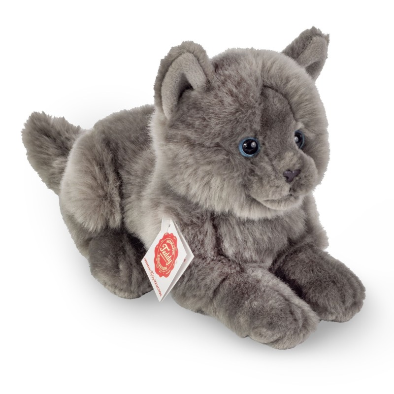 Knuffel Kat Karthuizer Chartreux Liggend