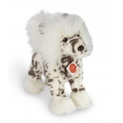 Knuffel Gekuifde Naakthond