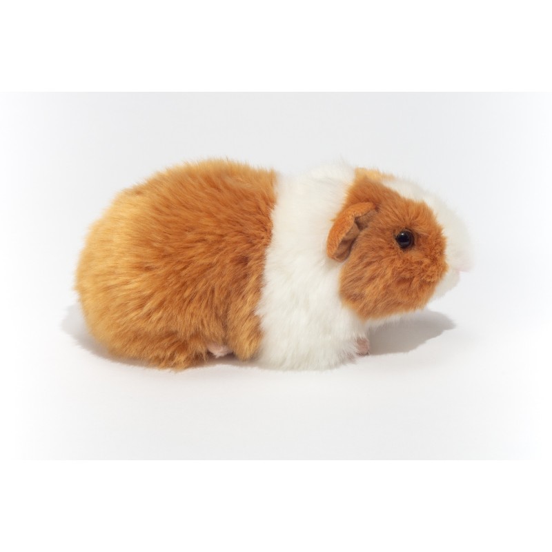 Knuffel Cavia Goud Wit Knuffel Cavia Goud Wit